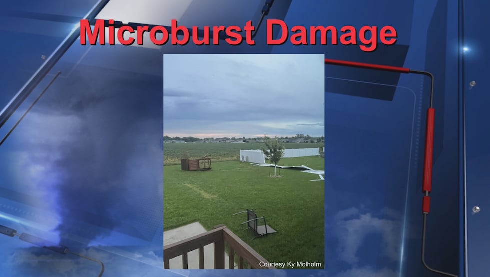Damage caused by a microburst in west Hastings on August 2, 2023
