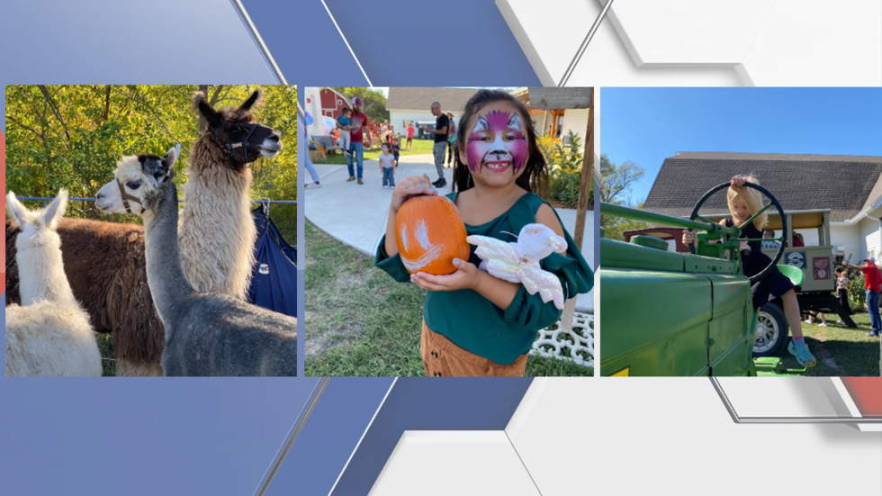 Sunday, October 1, 1-5 pm rain or shine