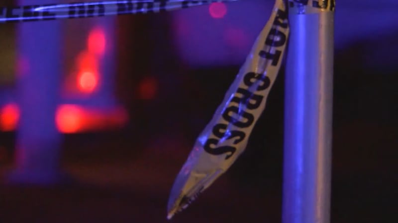Authorities a looking for a St. Libory man charged with two felonies.